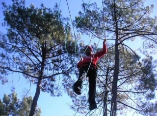  Ruta entre los árboles en Les Four parque de ocio 